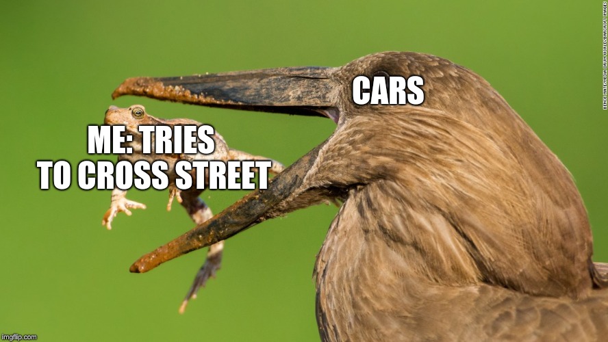 CARS; ME: TRIES TO CROSS STREET | made w/ Imgflip meme maker