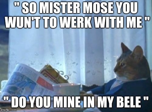 I Should Buy A Boat Cat Meme | " SO MISTER MOSE YOU WUN'T TO WERK WITH ME "; " DO YOU MINE IN MY BELE " | image tagged in memes,i should buy a boat cat | made w/ Imgflip meme maker