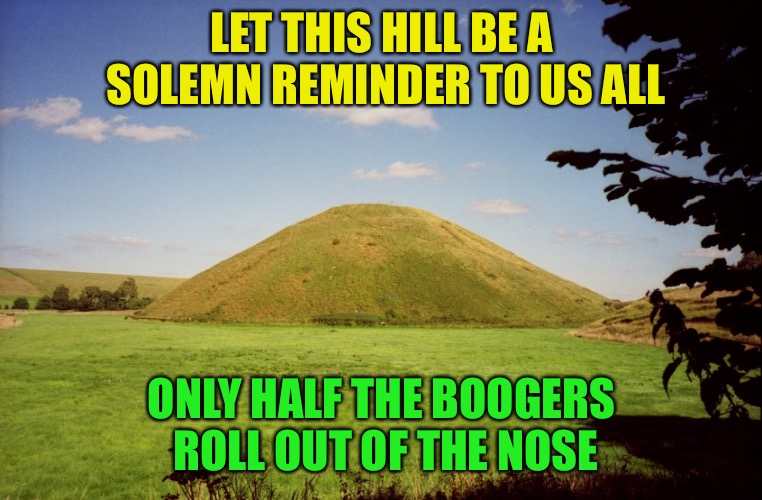 Life Lessons | LET THIS HILL BE A SOLEMN REMINDER TO US ALL; ONLY HALF THE BOOGERS ROLL OUT OF THE NOSE | image tagged in memes,boogers | made w/ Imgflip meme maker