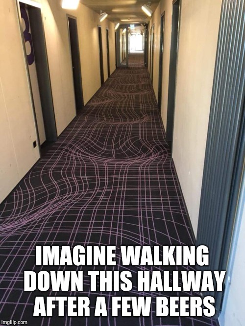 I'm sure it would be so much fun | IMAGINE WALKING DOWN THIS HALLWAY AFTER A FEW BEERS | image tagged in carpet,drunk walk | made w/ Imgflip meme maker