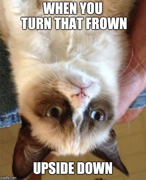 Grumpy Cat Meme | WHEN YOU TURN THAT FROWN; UPSIDE DOWN | image tagged in memes,grumpy cat | made w/ Imgflip meme maker