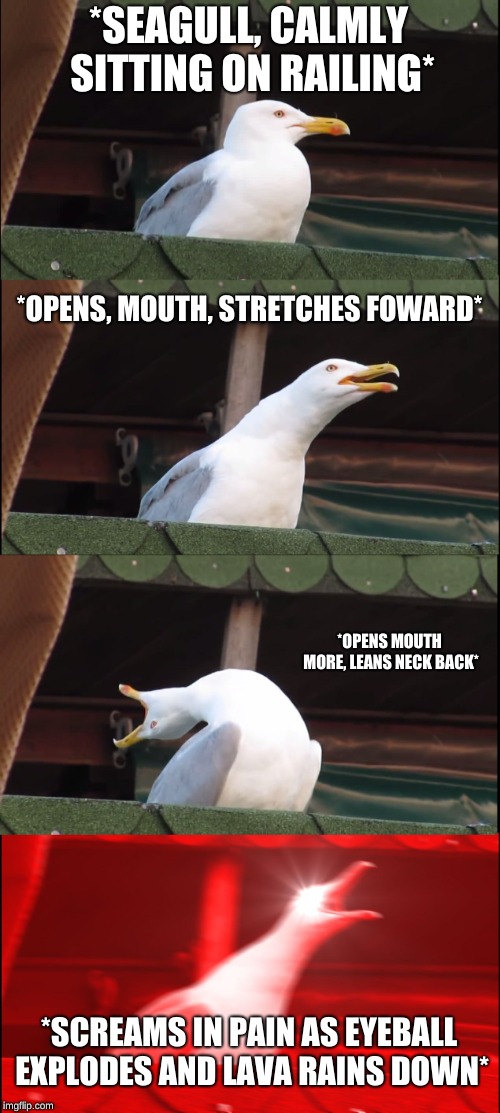Inhaling Seagull Meme | *SEAGULL, CALMLY SITTING ON RAILING*; *OPENS, MOUTH, STRETCHES FOWARD*; *OPENS MOUTH MORE, LEANS NECK BACK*; *SCREAMS IN PAIN AS EYEBALL EXPLODES AND LAVA RAINS DOWN* | image tagged in memes,inhaling seagull | made w/ Imgflip meme maker