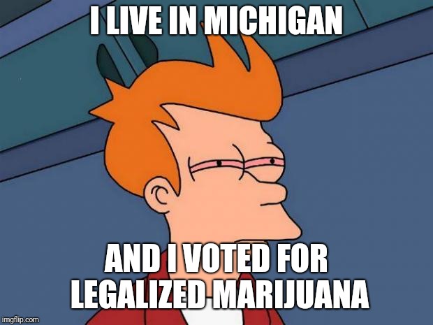 stoned fry | I LIVE IN MICHIGAN AND I VOTED FOR LEGALIZED MARIJUANA | image tagged in stoned fry | made w/ Imgflip meme maker