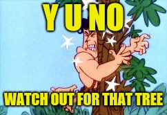 Y U NO WATCH OUT FOR THAT TREE | made w/ Imgflip meme maker
