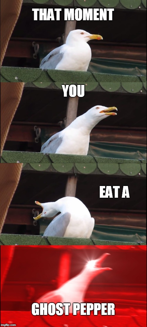 Inhaling Seagull | THAT MOMENT; YOU; EAT A; GHOST PEPPER | image tagged in memes,inhaling seagull | made w/ Imgflip meme maker