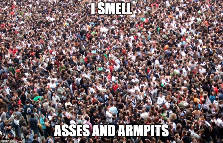 crowd of people | I SMELL ASSES AND ARMPITS | image tagged in crowd of people | made w/ Imgflip meme maker