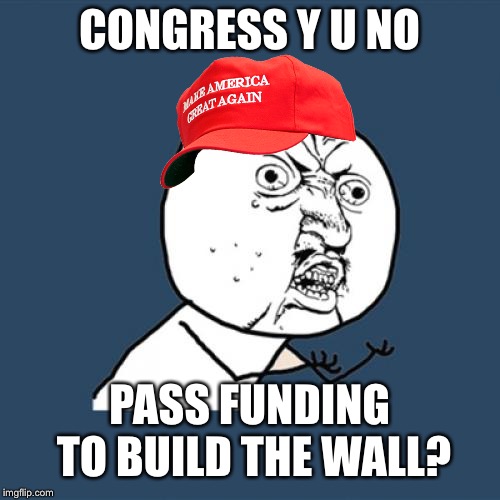 Y U No | CONGRESS Y U NO; PASS FUNDING TO BUILD THE WALL? | image tagged in memes,y u no,y u november,mexican wall,political meme | made w/ Imgflip meme maker