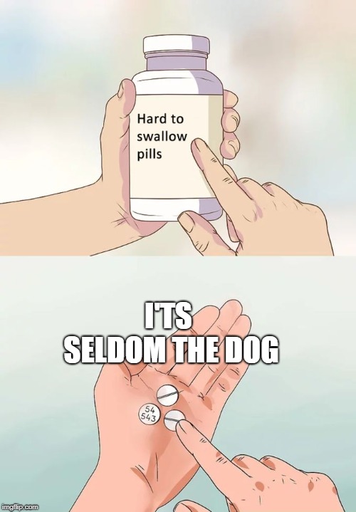 Hard To Swallow Pills Meme | I'TS SELDOM THE DOG | image tagged in memes,hard to swallow pills | made w/ Imgflip meme maker