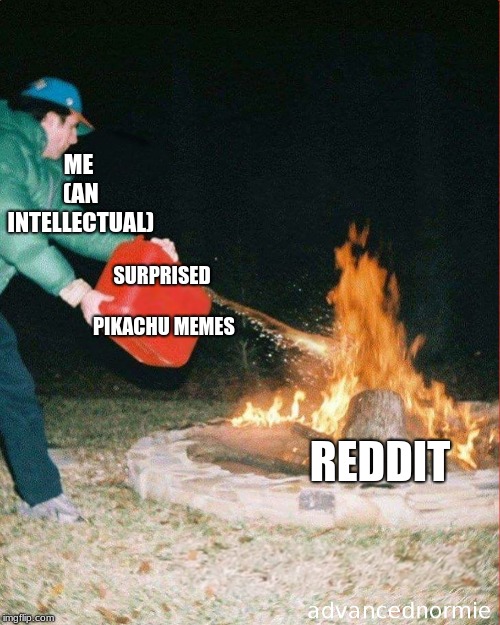 pouring gas on fire | ME (AN INTELLECTUAL); SURPRISED PIKACHU MEMES; REDDIT | image tagged in pouring gas on fire | made w/ Imgflip meme maker