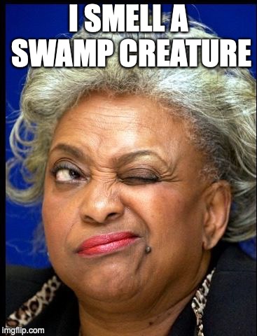Brenda Snipes |  I SMELL A SWAMP CREATURE | image tagged in brenda snipes | made w/ Imgflip meme maker