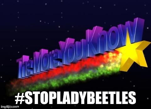 #STOPLADYBEETLES | image tagged in the more you know | made w/ Imgflip meme maker