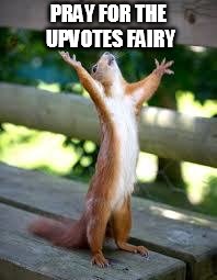 Praise Squirrel |  PRAY FOR THE UPVOTES FAIRY | image tagged in praise squirrel | made w/ Imgflip meme maker