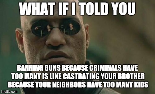 Think about it | WHAT IF I TOLD YOU; BANNING GUNS BECAUSE CRIMINALS HAVE TOO MANY IS LIKE CASTRATING YOUR BROTHER BECAUSE YOUR NEIGHBORS HAVE TOO MANY KIDS | image tagged in memes,matrix morpheus,think about it | made w/ Imgflip meme maker
