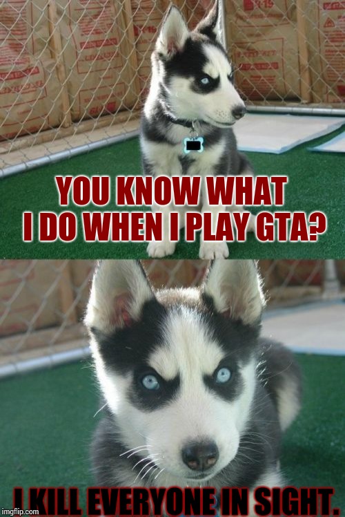 Insanity Puppy | YOU KNOW WHAT I DO WHEN I PLAY GTA? I KILL EVERYONE IN SIGHT. | image tagged in memes,insanity puppy | made w/ Imgflip meme maker