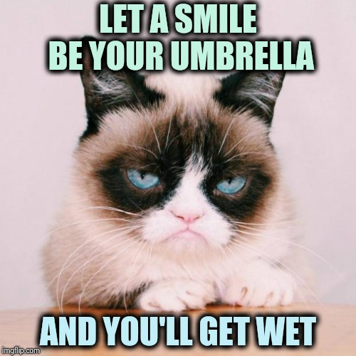 grumpy cat again | LET A SMILE BE YOUR UMBRELLA AND YOU'LL GET WET | image tagged in grumpy cat again | made w/ Imgflip meme maker