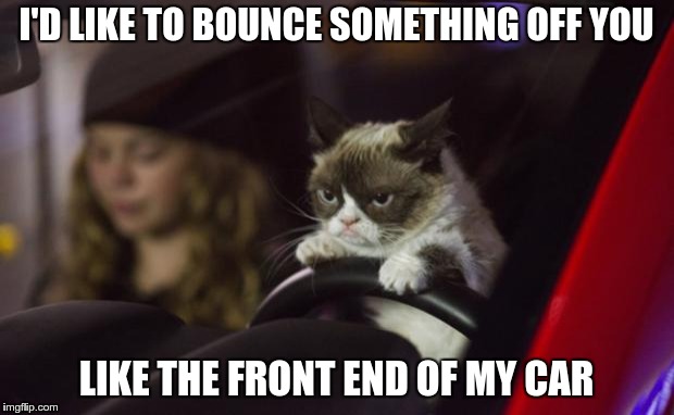 Grumpy Cat Driving | I'D LIKE TO BOUNCE SOMETHING OFF YOU; LIKE THE FRONT END OF MY CAR | image tagged in grumpy cat driving,grumpy cat,driving | made w/ Imgflip meme maker