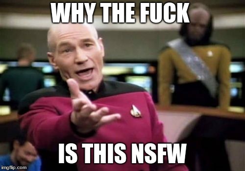 Picard Wtf Meme | WHY THE F**K IS THIS NSFW | image tagged in memes,picard wtf | made w/ Imgflip meme maker