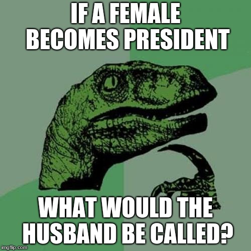 Philosoraptor | IF A FEMALE BECOMES PRESIDENT; WHAT WOULD THE HUSBAND BE CALLED? | image tagged in memes,philosoraptor | made w/ Imgflip meme maker