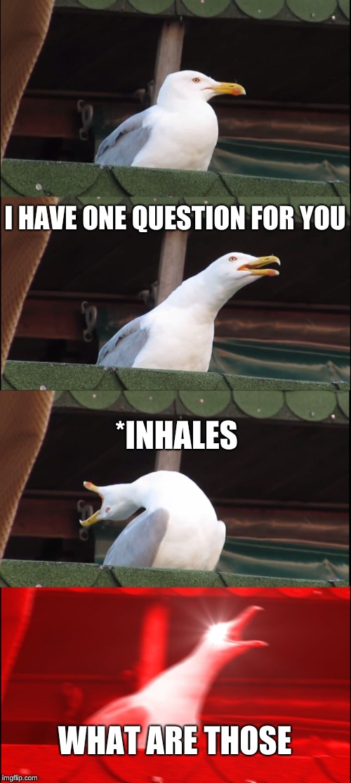 Inhaling Seagull | I HAVE ONE QUESTION FOR YOU; *INHALES; WHAT ARE THOSE | image tagged in memes,inhaling seagull | made w/ Imgflip meme maker