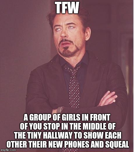 It's time to stop. But not in the middle of the hallway please... | TFW; A GROUP OF GIRLS IN FRONT OF YOU STOP IN THE MIDDLE OF THE TINY HALLWAY TO SHOW EACH OTHER THEIR NEW PHONES AND SQUEAL | image tagged in memes,face you make robert downey jr,school,tfw,annoying people,funny | made w/ Imgflip meme maker