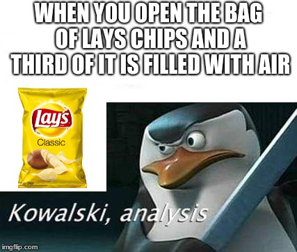 kowalski, analysis | WHEN YOU OPEN THE BAG OF LAYS CHIPS AND A THIRD OF IT IS FILLED WITH AIR | image tagged in kowalski analysis | made w/ Imgflip meme maker