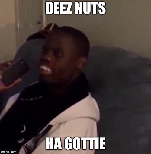 Deez Nutz | DEEZ NUTS; HA GOTTIE | image tagged in deez nutz | made w/ Imgflip meme maker
