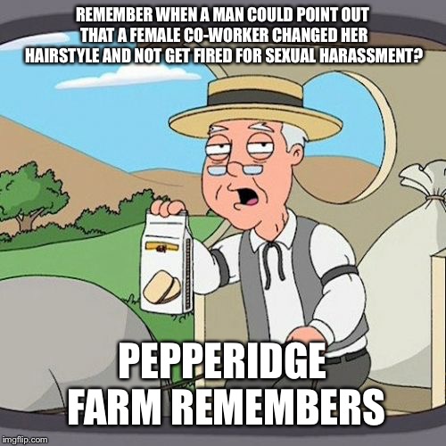 Pepperidge Farm Remembers | REMEMBER WHEN A MAN COULD POINT OUT THAT A FEMALE CO-WORKER CHANGED HER HAIRSTYLE AND NOT GET FIRED FOR SEXUAL HARASSMENT? PEPPERIDGE FARM REMEMBERS | image tagged in memes,pepperidge farm remembers | made w/ Imgflip meme maker