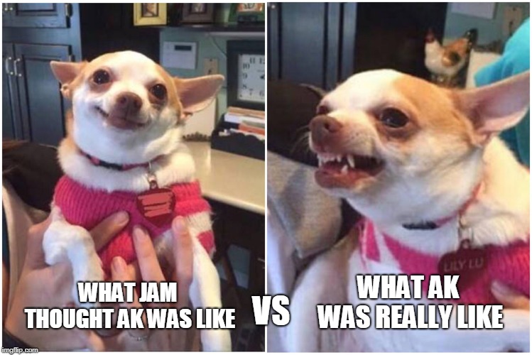 Happy chihuahua angry chihuahua  | VS; WHAT AK WAS REALLY LIKE; WHAT JAM THOUGHT AK WAS LIKE | image tagged in happy chihuahua angry chihuahua | made w/ Imgflip meme maker