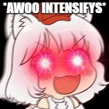 awooooooooooooooooooooooooooooooooooooooooooooooooooooooo | *AWOO INTENSIFYS* | image tagged in memes,fox | made w/ Imgflip meme maker