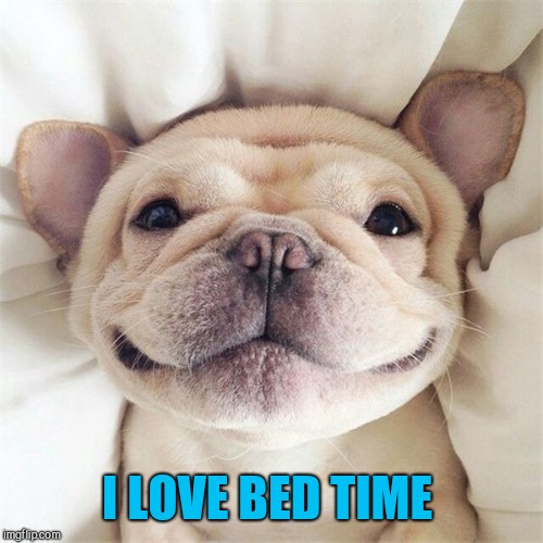 Smiling puppy | I LOVE BED TIME | image tagged in smiling puppy | made w/ Imgflip meme maker