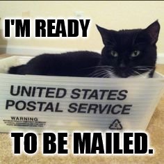 A Special Package To Go Out | I'M READY; TO BE MAILED. | image tagged in memes,cat,sitting,home,mail,outbox | made w/ Imgflip meme maker