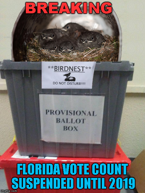 Due to Animal Welfare Act | BREAKING; FLORIDA VOTE COUNT SUSPENDED UNTIL 2019 | image tagged in memes,meanwhile in florida,voting ballot,vote count,polls,recount | made w/ Imgflip meme maker