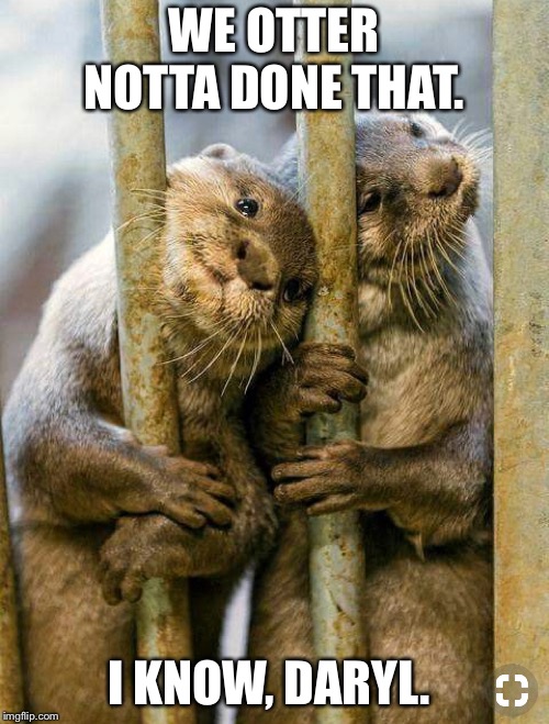 WE OTTER NOTTA DONE THAT. I KNOW, DARYL. | made w/ Imgflip meme maker