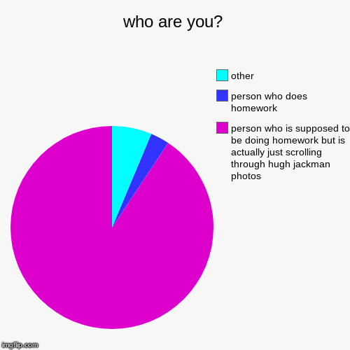 who are you? | person who is supposed to be doing homework but is actually just scrolling through hugh jackman photos, person who does homew | image tagged in funny,pie charts | made w/ Imgflip chart maker