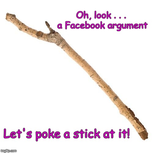 Let's Have Some Fun! | Oh, look . . . a Facebook argument; Let's poke a stick at it! | image tagged in facebook,arguments | made w/ Imgflip meme maker