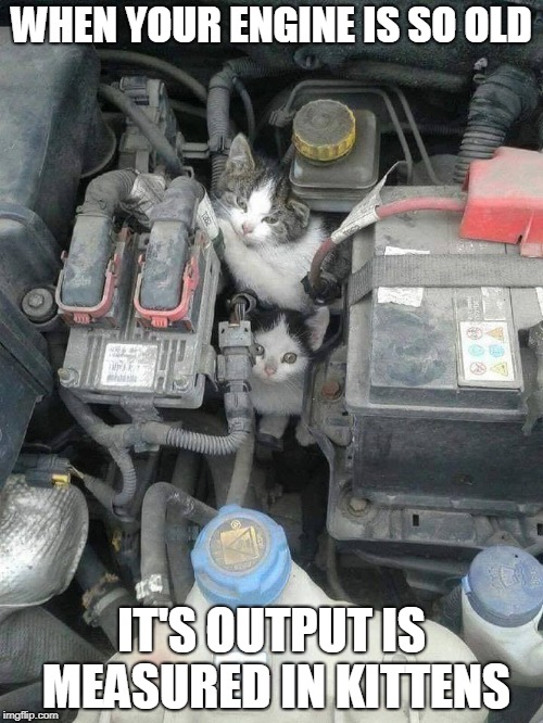 MMMEEEEOOOOOOOOWWWWWW!!!!!! | WHEN YOUR ENGINE IS SO OLD; IT'S OUTPUT IS MEASURED IN KITTENS | image tagged in engine,automotive,kittens,cats,horsepower,memes | made w/ Imgflip meme maker