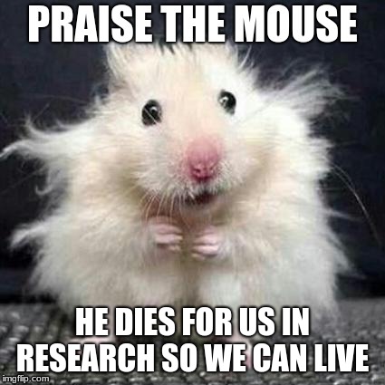 Praise the Mouse | HE DIES FOR US IN RESEARCH SO WE CAN LIVE | image tagged in mouse | made w/ Imgflip meme maker