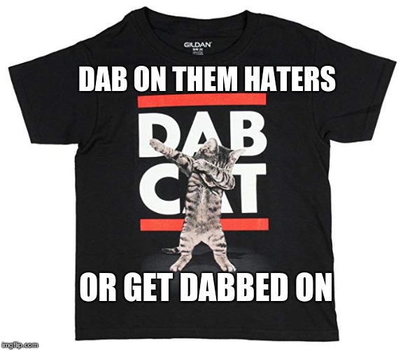 dabbing cat memes | DAB ON THEM HATERS; OR GET DABBED ON | image tagged in oh yeah | made w/ Imgflip meme maker