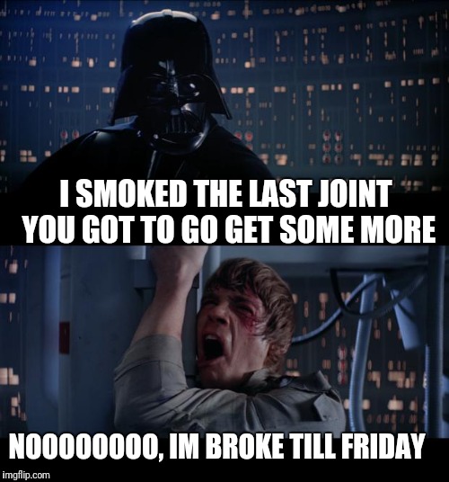 Star Wars No Meme | I SMOKED THE LAST JOINT YOU GOT TO GO GET SOME MORE; NOOOOOOOO, IM BROKE TILL FRIDAY | image tagged in memes,star wars no | made w/ Imgflip meme maker