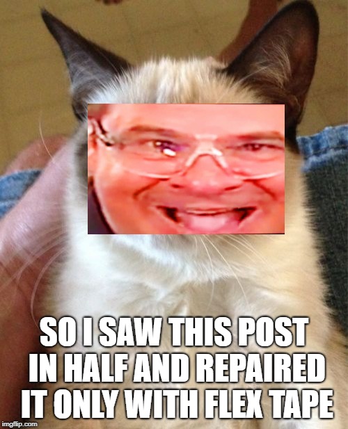 Grumpy Cat | SO I SAW THIS POST IN HALF AND REPAIRED IT ONLY WITH FLEX TAPE | image tagged in memes,grumpy cat | made w/ Imgflip meme maker