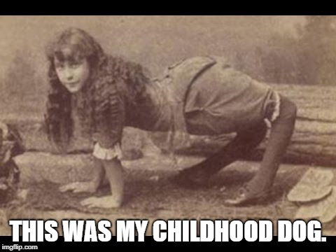 Backward Legs | THIS WAS MY CHILDHOOD DOG. | image tagged in backward legs | made w/ Imgflip meme maker