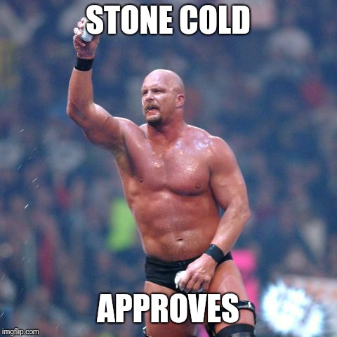 Stone Cold Steve Austin | STONE COLD APPROVES | image tagged in stone cold steve austin | made w/ Imgflip meme maker
