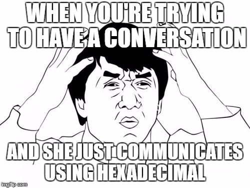 Jackie Chan WTF Meme | WHEN YOU'RE TRYING TO HAVE A CONVERSATION; AND SHE JUST COMMUNICATES USING HEXADECIMAL | image tagged in memes,jackie chan wtf | made w/ Imgflip meme maker