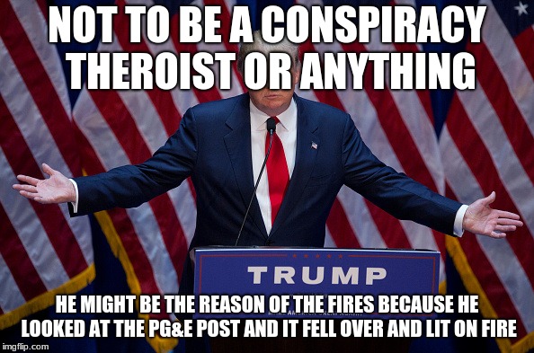 Whos with me? | NOT TO BE A CONSPIRACY THEROIST OR ANYTHING; HE MIGHT BE THE REASON OF THE FIRES BECAUSE HE LOOKED AT THE PG&E POST AND IT FELL OVER AND LIT ON FIRE | image tagged in donald trump | made w/ Imgflip meme maker