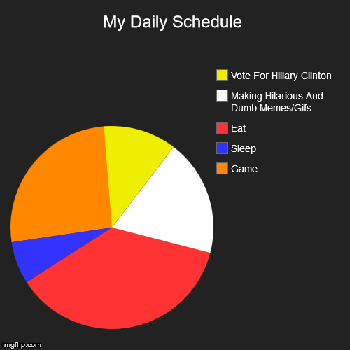 My Daily Schedule | Game, Sleep, Eat, Making Hilarious And Dumb Memes/Gifs, Vote For Hillary Clinton | image tagged in funny,pie charts | made w/ Imgflip chart maker