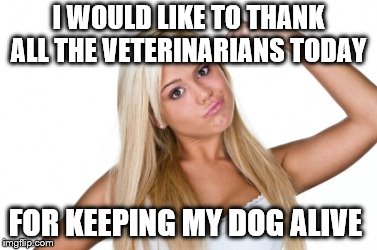 Happy Veterans Day | I WOULD LIKE TO THANK ALL THE VETERINARIANS TODAY; FOR KEEPING MY DOG ALIVE | image tagged in memes | made w/ Imgflip meme maker