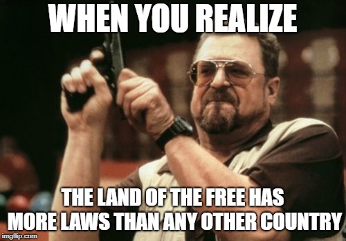Am I The Only One Around Here Meme | WHEN YOU REALIZE THE LAND OF THE FREE HAS MORE LAWS THAN ANY OTHER COUNTRY | image tagged in memes,am i the only one around here | made w/ Imgflip meme maker