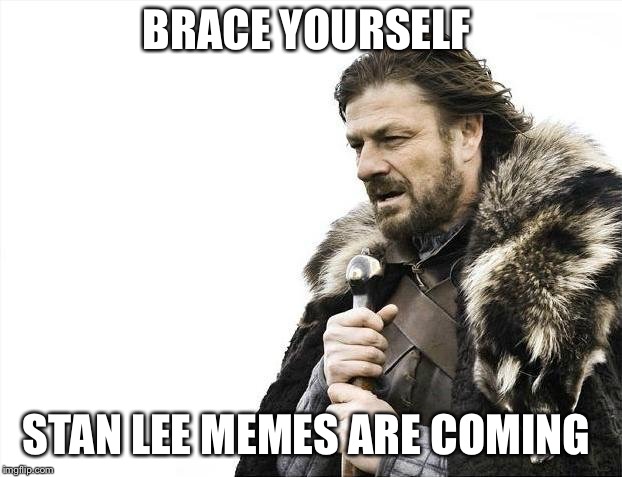 Brace Yourselves X is Coming Meme | BRACE YOURSELF; STAN LEE MEMES ARE COMING | image tagged in memes,brace yourselves x is coming,stan lee | made w/ Imgflip meme maker