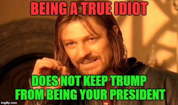 One Does Not Simply Meme | BEING A TRUE IDIOT DOES NOT KEEP TRUMP FROM BEING YOUR PRESIDENT | image tagged in memes,one does not simply | made w/ Imgflip meme maker