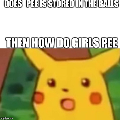 Surprised Pikachu Meme | GOES


PEE IS STORED IN THE BALLS; THEN HOW DO GIRLS PEE | image tagged in memes,surprised pikachu | made w/ Imgflip meme maker